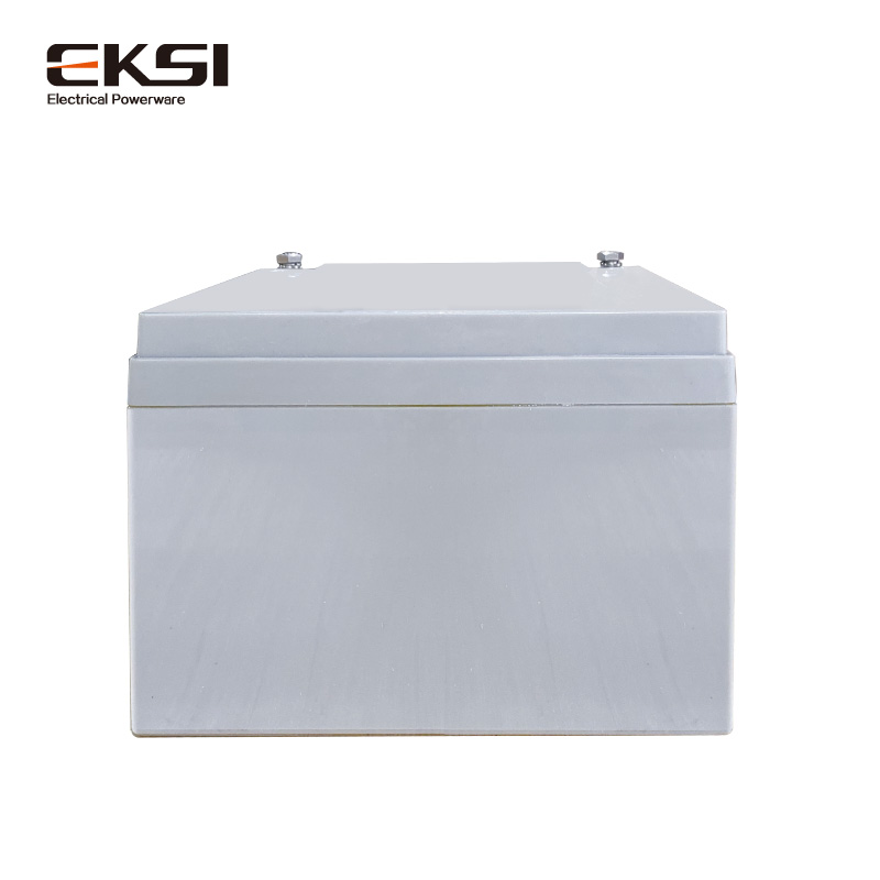 爱克赛(EKSI)ups 蓄电池EK024-12(12V24AH) 全新正品 阀控式铅酸免维护(7-10个工作日发货)高清大图