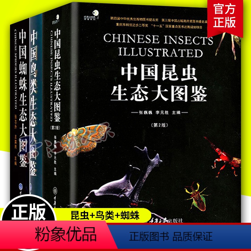 [正版]中国蜘蛛生态大图鉴+中国鸟类生态大图鉴+中国昆虫生态大图鉴 套装全3册 动物大图鉴 物种百科全书鸟类研究图鉴书