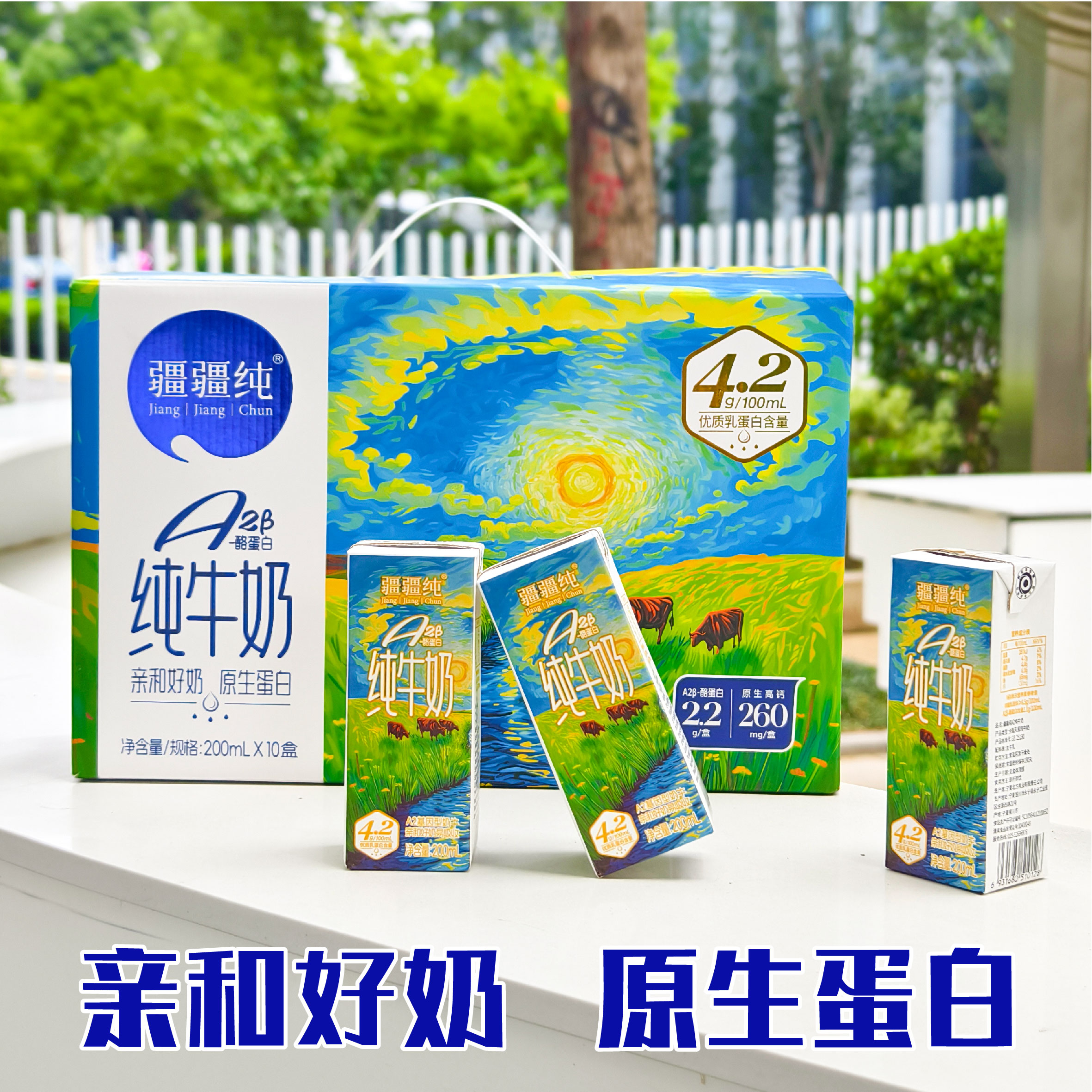 疆疆纯A2β-酪蛋白纯牛奶健康营养成长早餐200ml×10盒亲和易吸收牛奶整箱4.2g/100mL优质乳蛋白高清大图