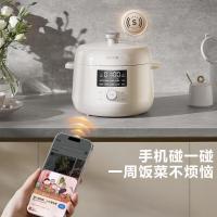 苏泊尔（SUPOR）多功能鸳鸯电压力锅3L家用0涂层钢胆风冷降压电饭煲电炖锅高压锅SY_155