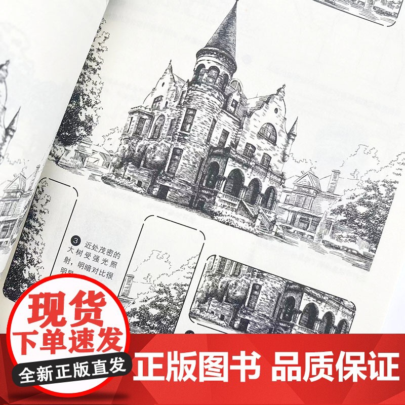 钢笔线描基础教程实战练习 新手自学入门 钢笔画教程书钢笔画手绘表现技法黑白钢笔画速写植物建筑城市风景描摹本素描线描素材高清大图