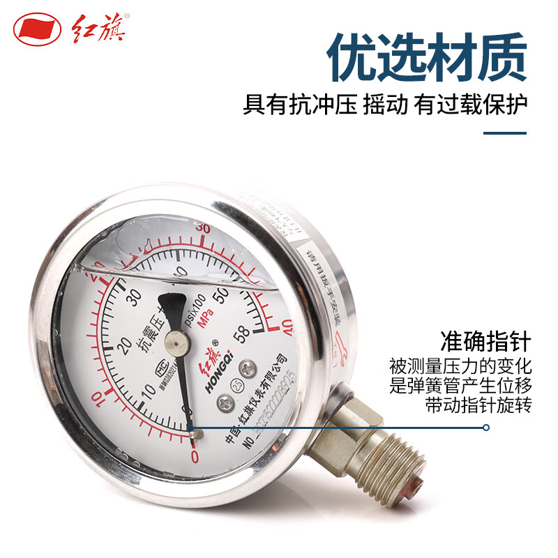 博世(BOSCH) 优选红旗耐震压力表 YTN-60 0-1Mpa 径向压力表高清大图