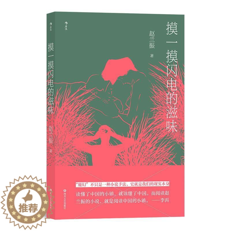 [醉染正版]正版 摸一摸闪电的滋味赵兰振书店小说书籍 畅想书高清大图