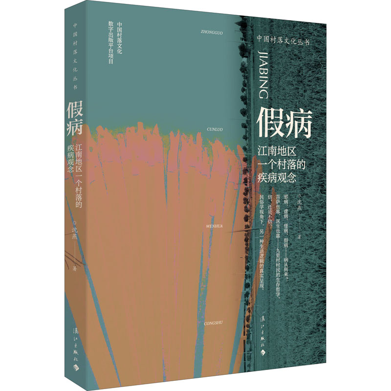 [正版]假病 江南地区一个村落的疾病观念 漓江出版社 沈燕 著 中国文化/民俗高清大图