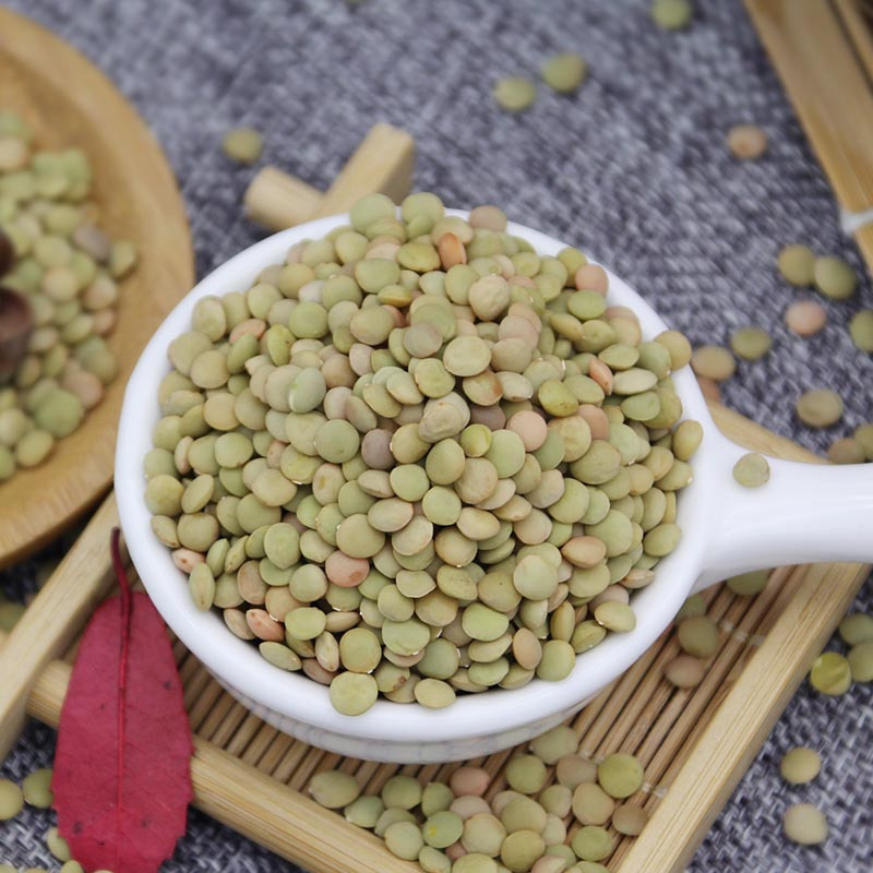 小扁豆甘肃特产扁豆480g罐装五谷杂粮西北兵豆农家绿扁豆子可生扁豆芽