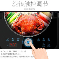 苏泊尔(SUPOR) IH02E9-210 电磁炉电磁炉家用智能电池炉灶火锅微晶面板触摸屏6大烹饪功能，十档大火力