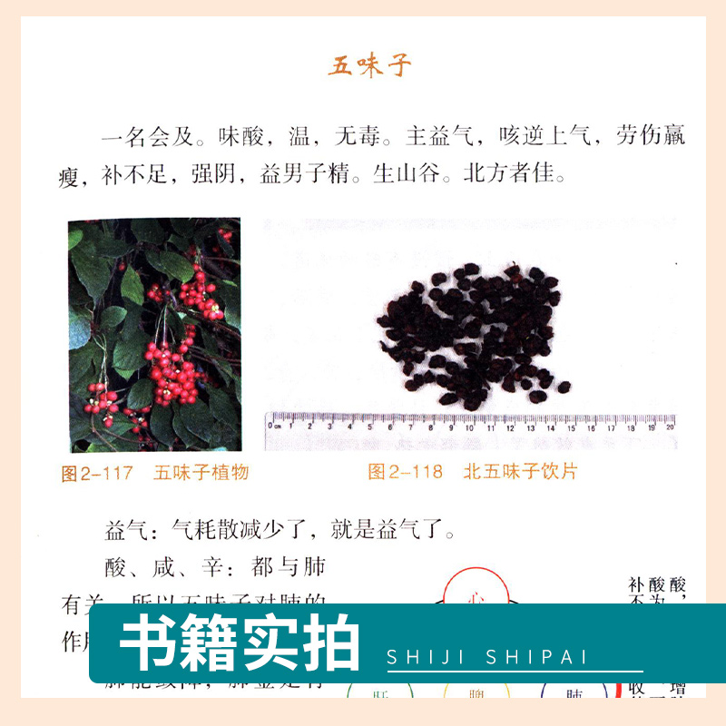 [正版] 全3册 圆运动古中医临证应用外感篇+圆运动古中医图解本草经+圆运动古中医图解经方 风寒感冒与风热感冒 中国高清大图