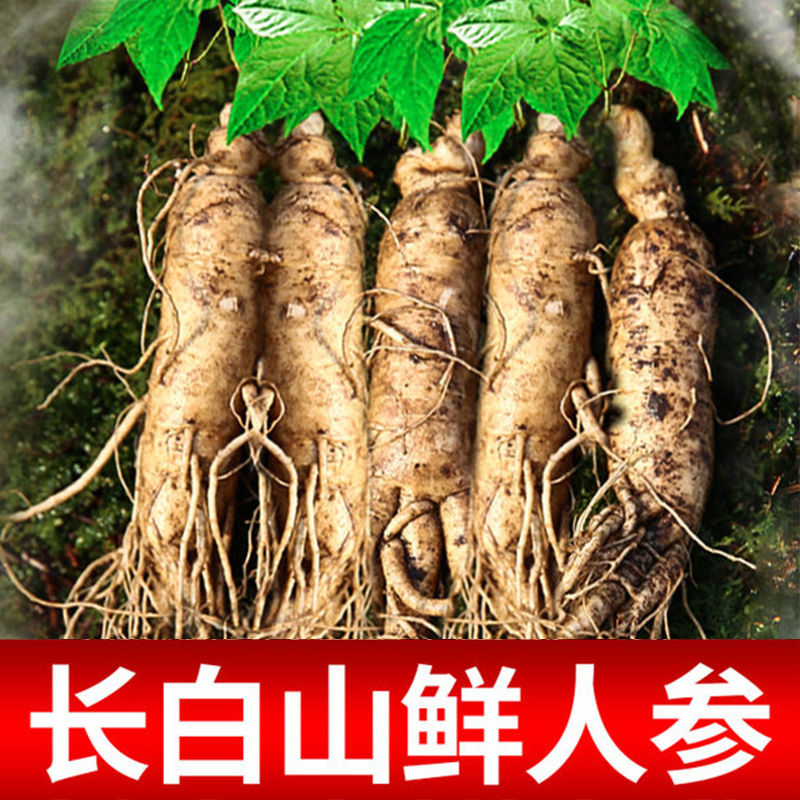 靠山庄 鲜人参 250g 整枝带土鲜人参 产地直供 长白山鲜人参整枝 现挖现卖 可搭配枸杞泡酒