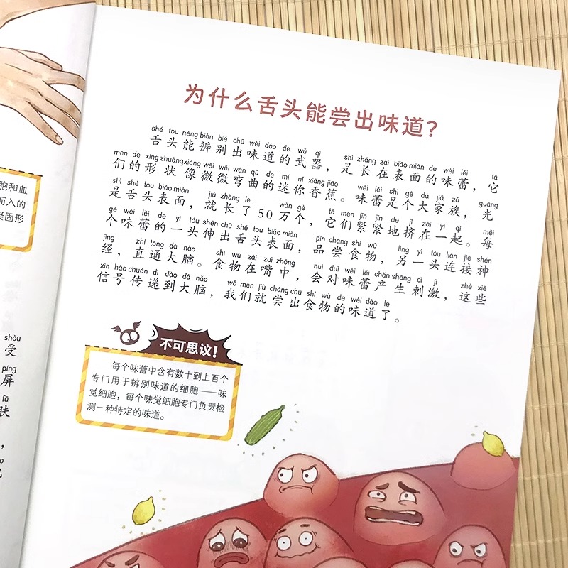 [全10册]中华上下五千年 少儿版 [正版]全8册十万个为什么小学生美图注音版 一二三四五年级小学6-8-12岁课外阅读高清大图