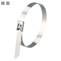 端固 304不锈钢扎带4.6*500mm /条