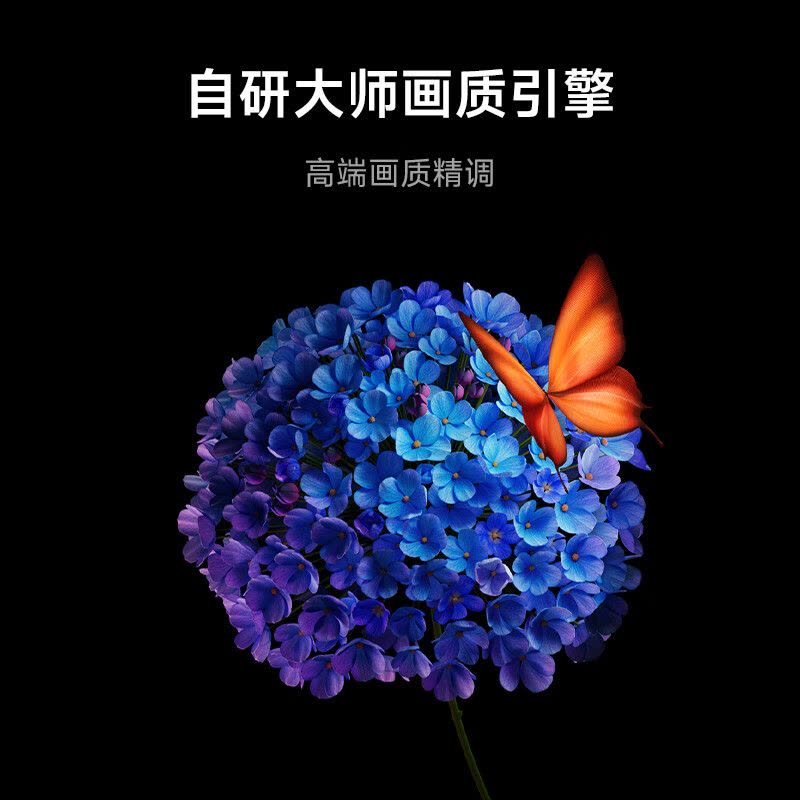 小米电视65英寸S65 MiniLED 1200nits亮度4GB+64GB存储240HZ高刷图片