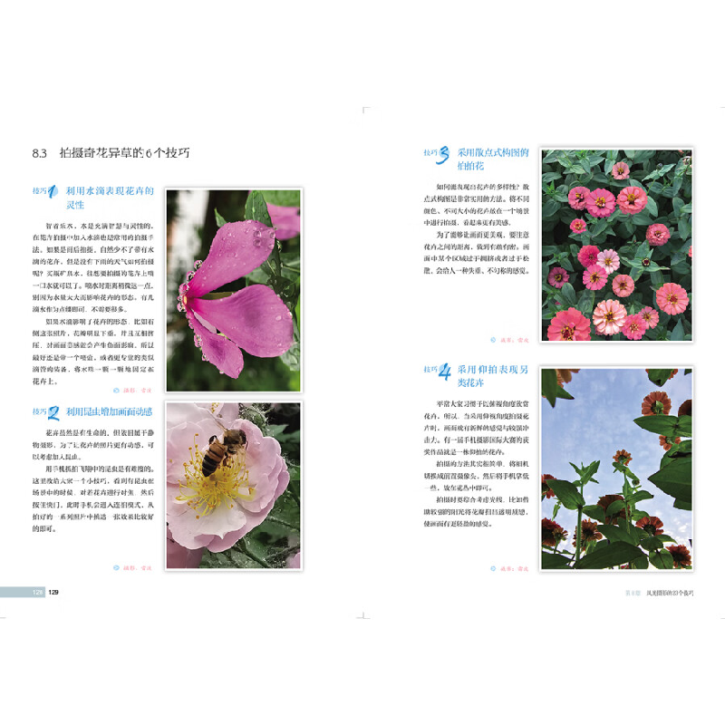 正版新书]手机摄影从入门到高手(摄影客出品)北极光 摄影97871高清大图