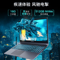 2024新品 机械革命 极光15 15.6英寸办公学习轻薄本定制游戏本笔记本电脑(i7-12800HX 16G内存 1TB固态 RTX4060 8G独显 165HZ 2.5K屏 )