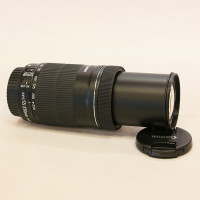佳能(Canon) EF-S 55-250mm f/4-5.6 IS STM中远摄变焦镜头 摄月/打鸟/;演唱会 单反相机镜头 佳能卡口礼包版