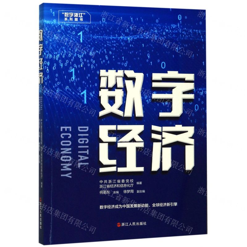 【N】数字经济-9787213094347