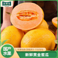 【苏鲜生】黄金蜜瓜 净重4.5斤 2-3个 冰淇淋新鲜水果当季哈蜜瓜