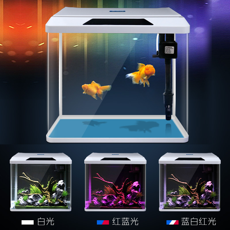 免换水懒人生态鱼缸水族箱客厅热带鱼金鱼缸高清玻璃迷你小型高清大图