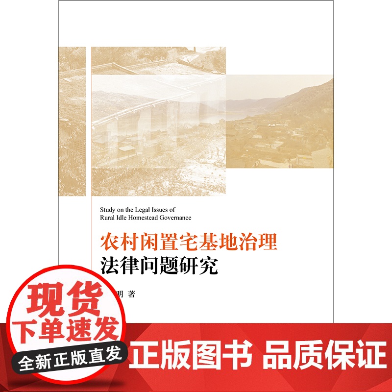 D正版 农村闲置宅基地治理法律问题研究 祁全明著 法律出版社高清大图