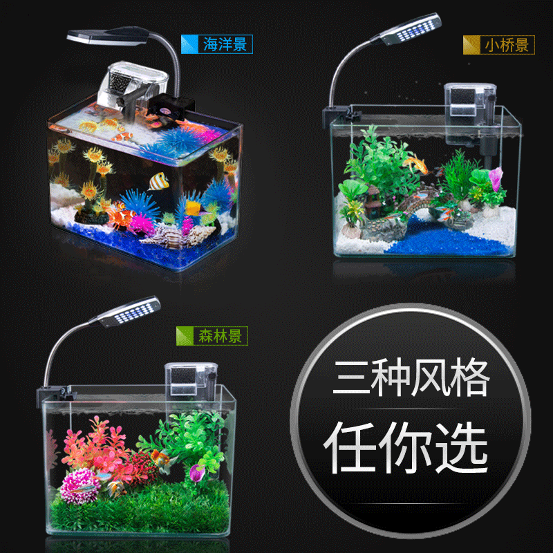 鱼缸水族箱迷你小型金鱼缸乌龟缸办公桌生态创意鱼缸方形透明玻璃高清大图