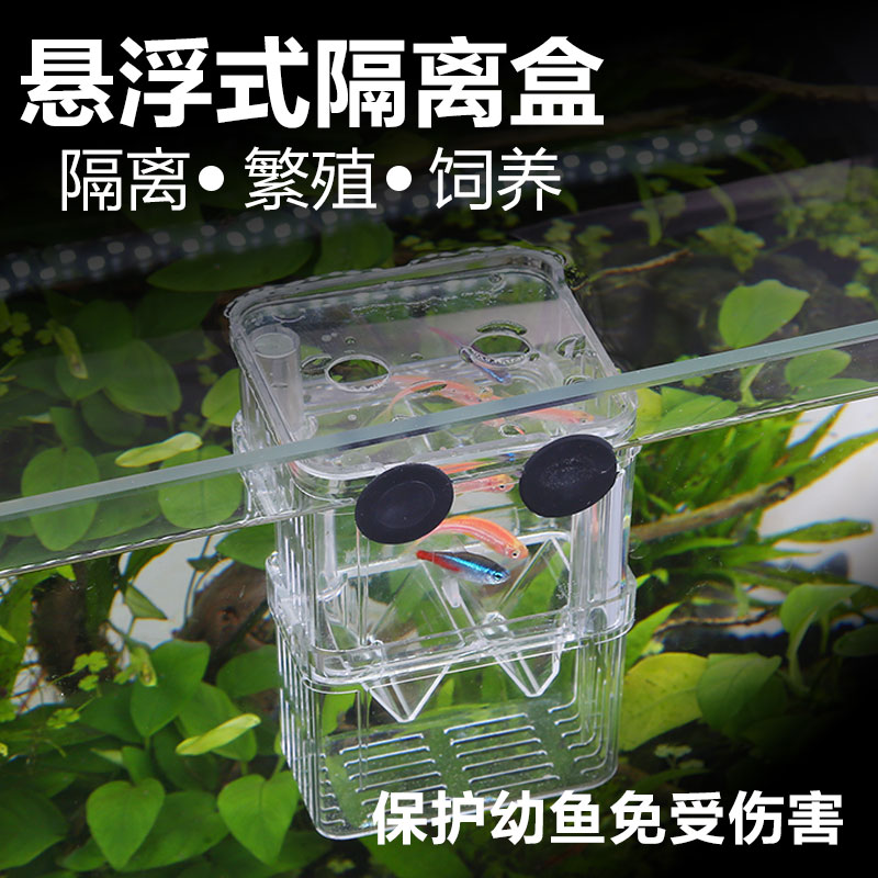 幼鱼孔雀鱼繁殖盒鱼缸隔离斗鱼鱼苗产卵器热带鱼亚克力高清大图