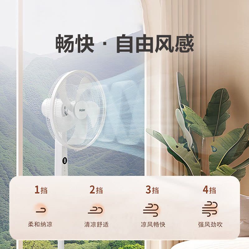 海尔(Haier)落地电风扇HFS-Y4046A遥控款40CM大直径大风量4档定时落地扇图片