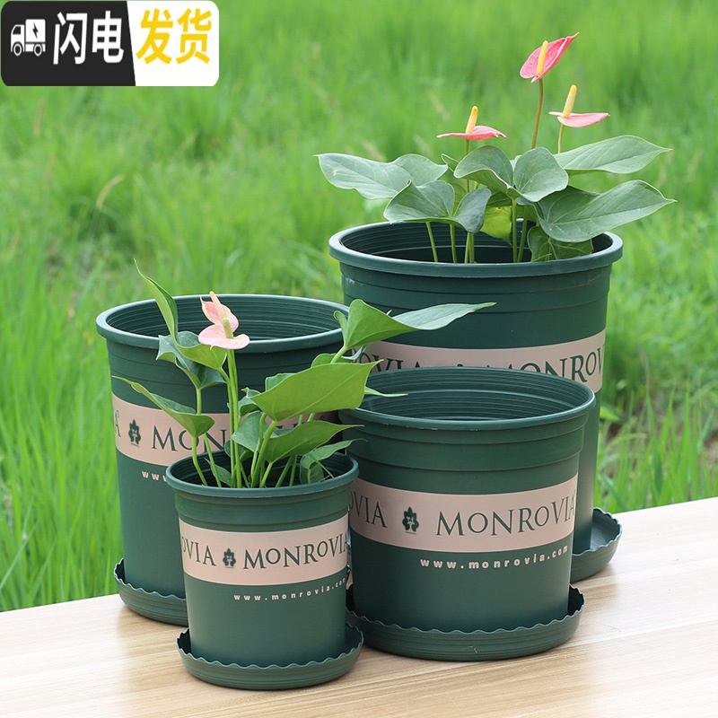 三维工匠加仑盆二代 加厚1/2/3/5塑料加仑花盆月季绿萝树脂阳台北欧风 [5个装]砖红色1加仑(含托盘)买10花盆容器