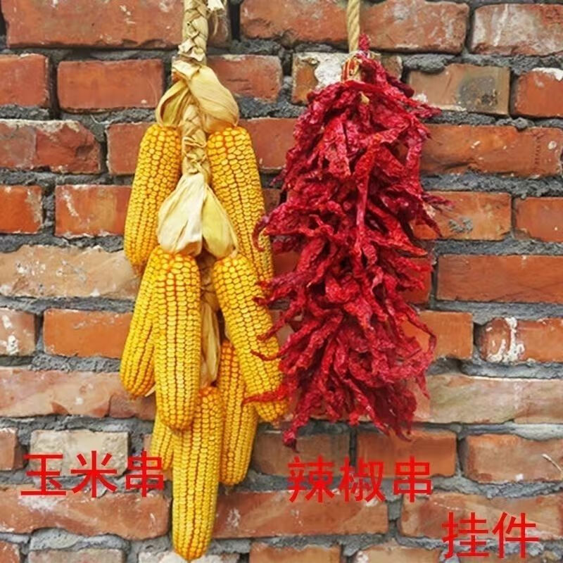 维诺亚真实五谷杂粮挂件玉米麦穗干花高粱田园农家乐装饰农作物五谷丰登高清大图