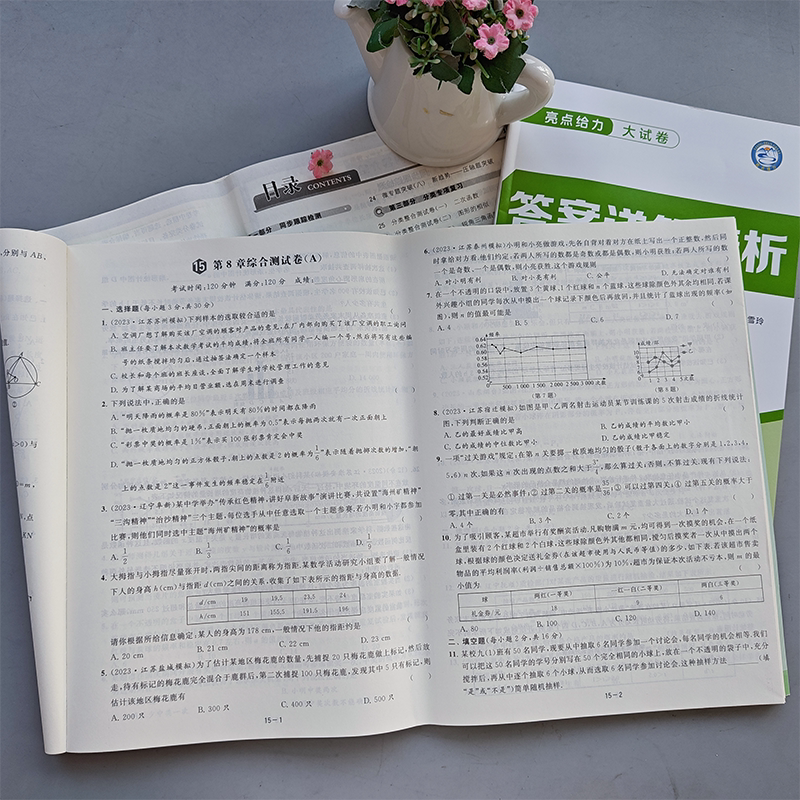 数学 九年级/初中三年级 [正版]新版 2024春亮点给力大试卷九年级下册数学江苏版中学教辅 9年级苏教版同步训练习