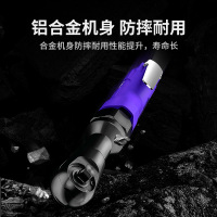 五福(WUFU) 2060气动棘轮扳手大扭力小风炮工业级汽修工具 252mm-1.63kg-蓝色