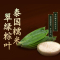 [料超多]潮汕粽小公园牌老妈宫粽球咸蛋黄板栗五花肉莲子白果香菇虾米桔饼双拼粽子