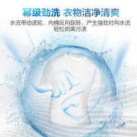 Haier海尔洗衣机 波轮洗衣机全自动10公斤家用大容量 健康除螨洗幂动力智能预约内筒免清洗抗菌波轮MB100-F258