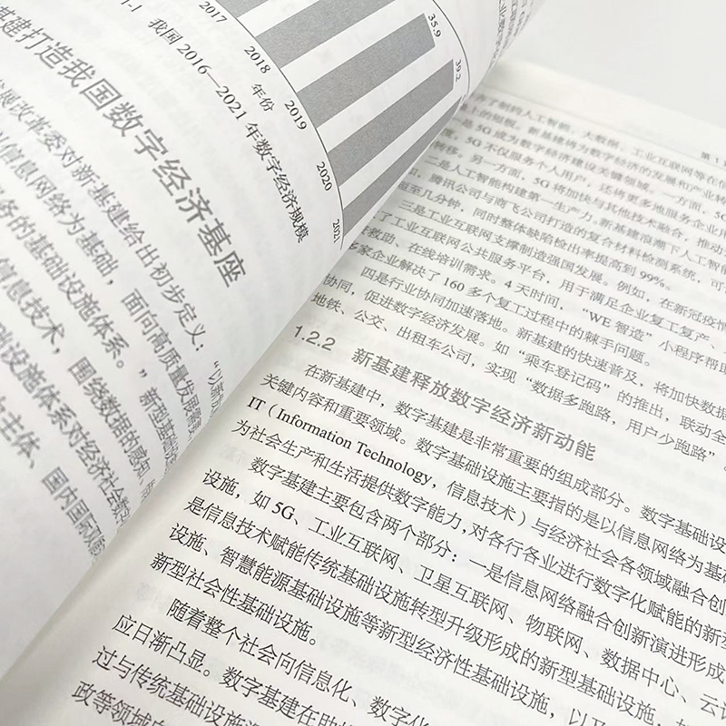 [正版]“IPv6+”网络技术创新:构筑数字经济发展基石 IPv6网络部署网络管理从入门到通网络架构设计网络技术书籍高清大图