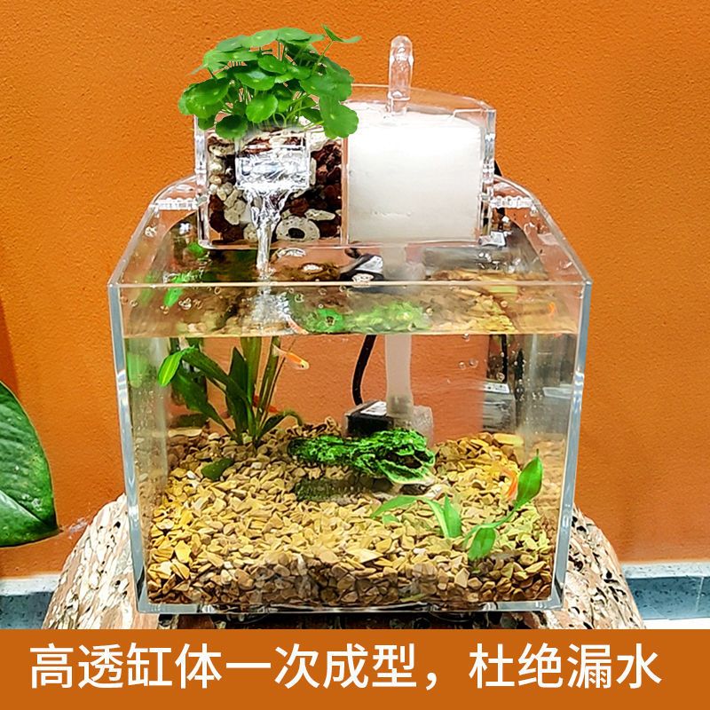 创意桌面小型鱼缸过滤免换水家用迷你生态造景养金鱼热带鱼水族箱 透明缸+过滤器