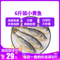 【6斤装小黄鱼仅需29.9元】顺丰直达 野生小黄鱼含冰 深海水产鲜活海鲜水产活鱼生鲜（净重3.5-4斤）