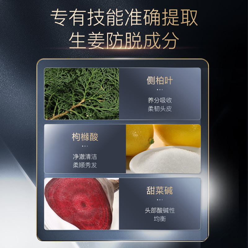 博滴(BodyAid)琴叶生姜强根保养洗发水去屑丰盈蓬松330ml*2瓶