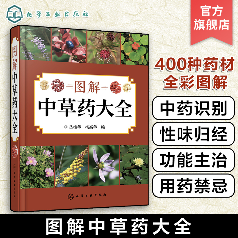 [正版]图解中草药大全 中医入门中草药大全书籍药材植物彩图中药大全 中医养生保健大全中草药识别百科全书 本草纲目中草药识