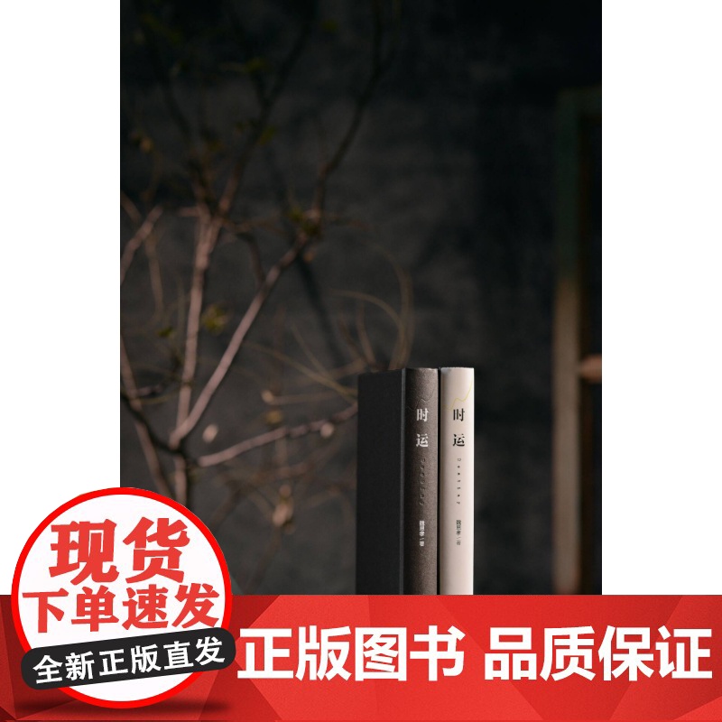时运 宝珀理想国文学奖得主魏思孝新作另著王能好上海文艺出版社中国当代小说正版图书籍高清大图