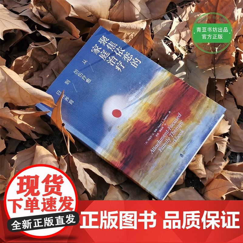 [央视网]聚焦依恋的家庭治疗:从创伤疗愈到日常养育 国际心理治疗大师家庭治疗实操指南 家庭关系修复的实用宝典QS高清大图