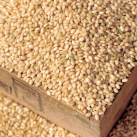7河源 有机糙米1kg 杂粮米 桶装