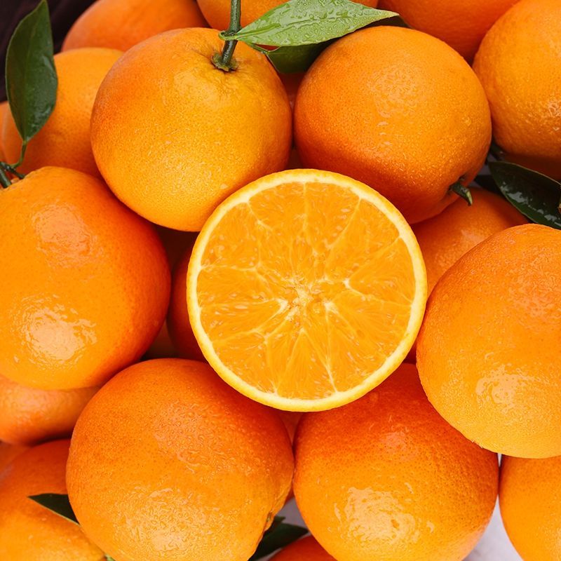 5斤精选大果正宗新鲜伦晚橙子脐橙