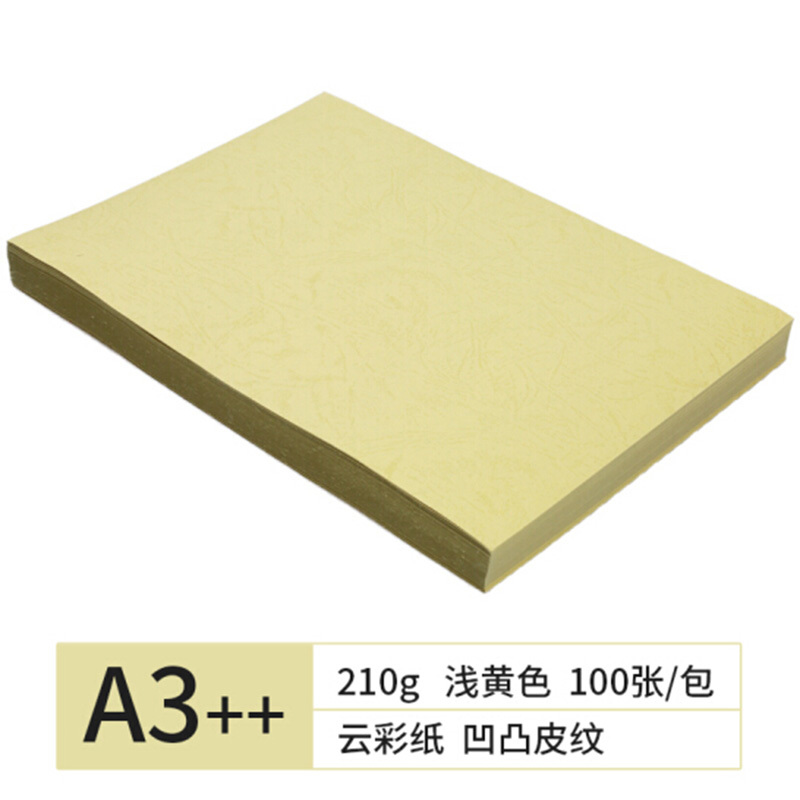 TANGO A3++凹凸皮纹纸