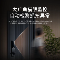 凯迪仕小迪S260FVP人脸猫眼智能门锁