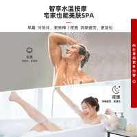林内(Rinnai) RUS-13E66FYF 13升 智能精控恒温 水量伺服器 水温按摩 APP智控 防冻燃气热水器