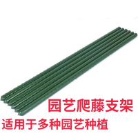 园艺植物花支架爬藤架阿斯卡利网庭院楼顶包塑钢管户外种植黄瓜番茄支撑杆