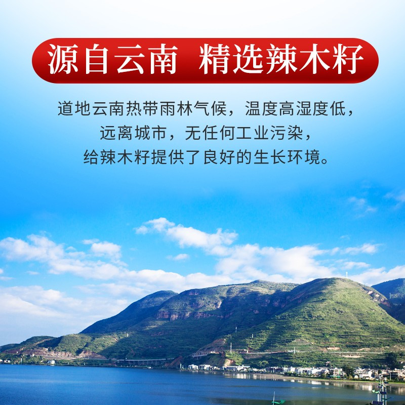 庄民辣木籽100g/罐 手工精选大颗粒 云南辣木子 非印度辣木籽茶