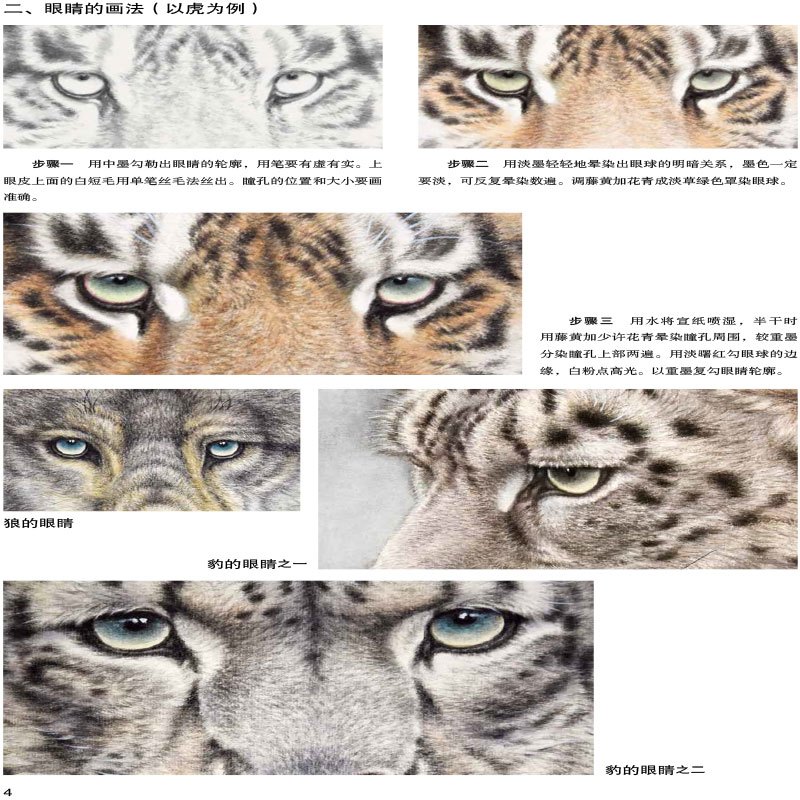 [正版]正邮 工笔猛兽技法 名家国画示范教程 徐文略 工笔国画 动物画法 中国画技法书籍 国画临摹范本画册画集作品集