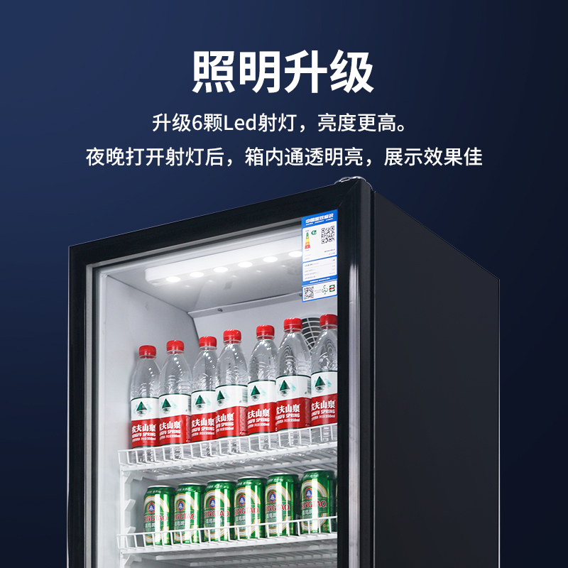 澳柯玛216升单门冷藏展示柜啤酒饮料水果保鲜商用冰箱无灯箱立式冷柜