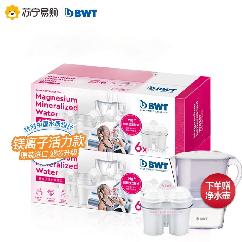 德国BWT净水壶净水器过滤水壶家用进口镁离子活力款滤芯 1壶13芯