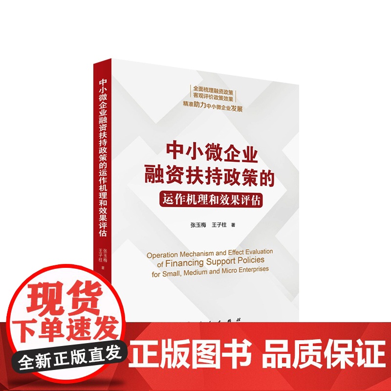 中小微企业融资扶持政策的运作机理和效果评估 张玉梅 王子柱 著 人民出版社高清大图