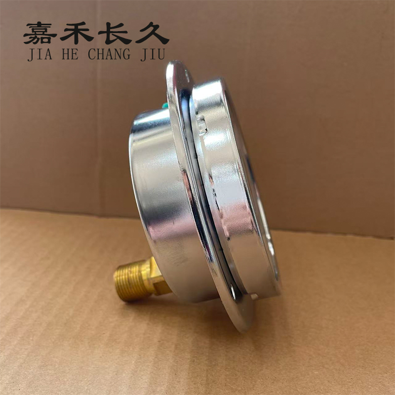 嘉禾长久 耐震压力表轴向带边(带辽宁省级检定证书)YTN100ZT 块高清大图